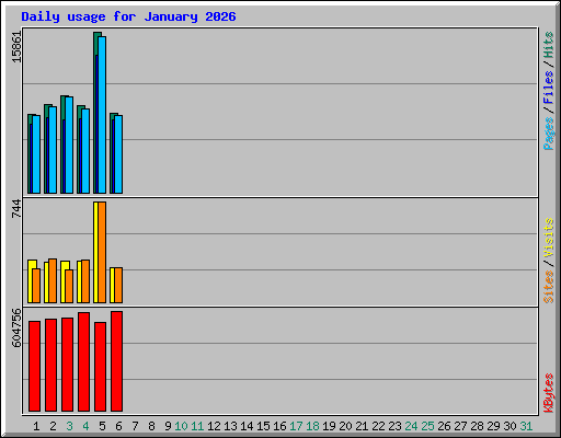 Daily usage for January 2026