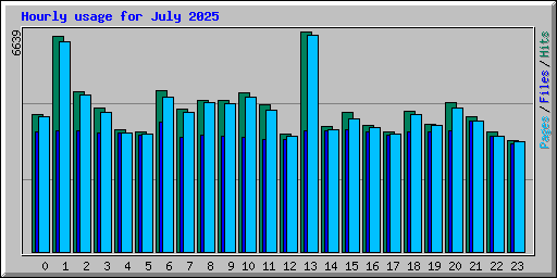 Hourly usage for July 2025
