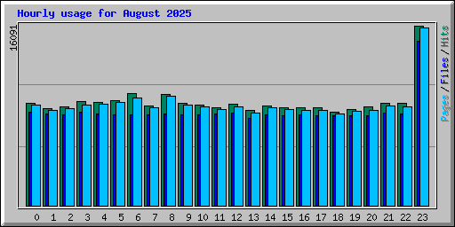 Hourly usage for August 2025