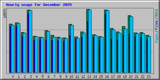 Hourly usage for December 2025