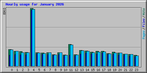 Hourly usage for January 2026
